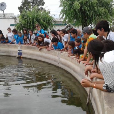 7.FuenteConPecesEnCriaderoNutrias