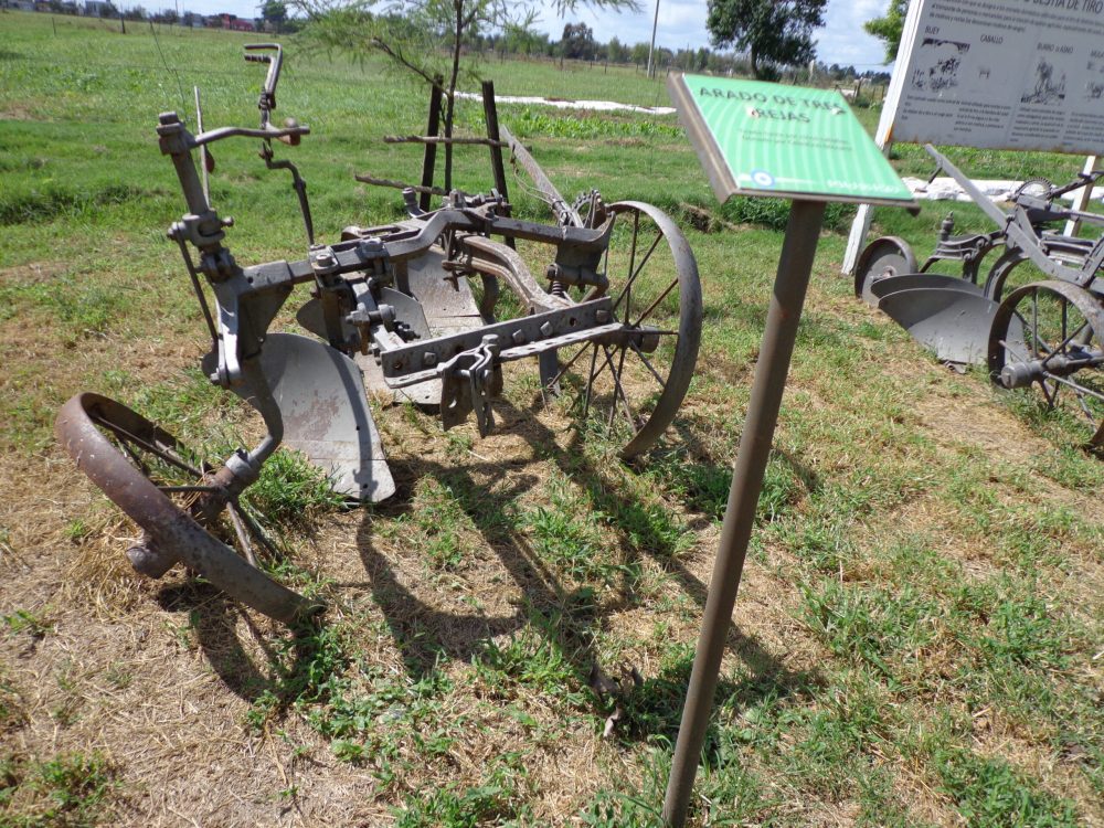 Arado Rejas