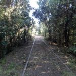 IMG-20190217-WA0004
