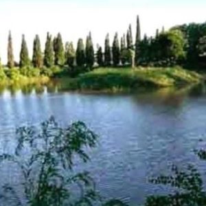 lagoParque